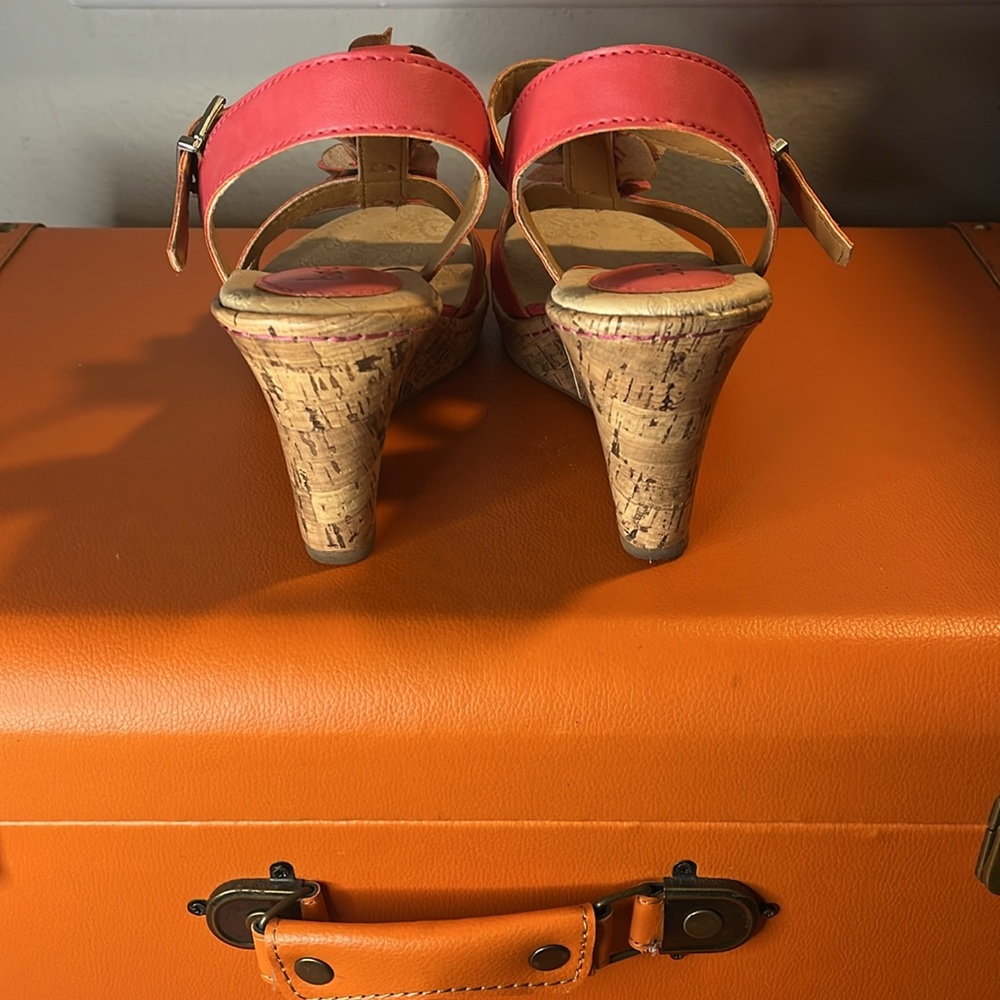 In Full Bloom! - image 3